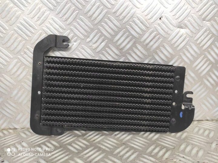 Радиатор топлива Fiat Talento Renault Trafic III 1.6 2.0 dCi 175104049R, фото 1