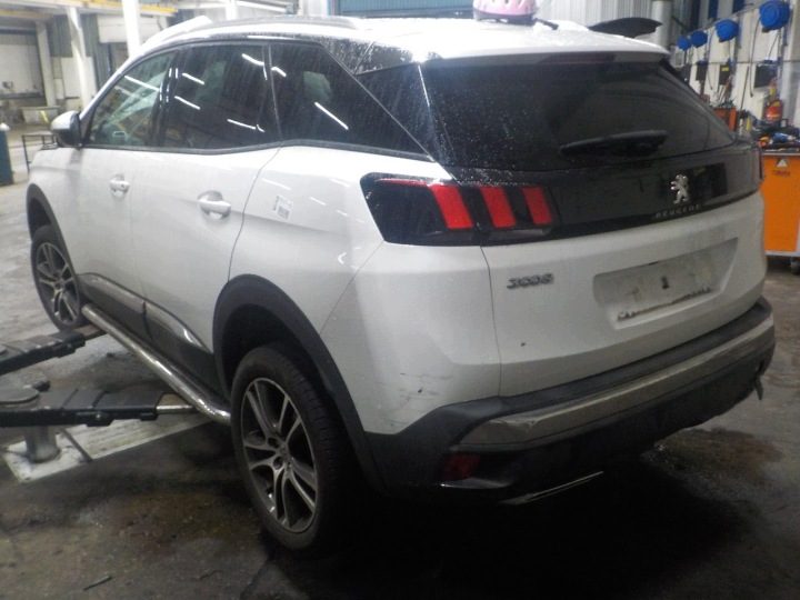 Peugeot 3008 II M4/MC/MJ/MR 2016 - 2019 Амортизатор задний левый, фото 11
