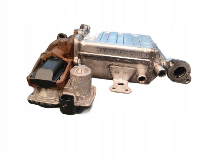 EGR MAN TGE VW California T6 Crafter Multivan T6 Transporter T6, фото 4