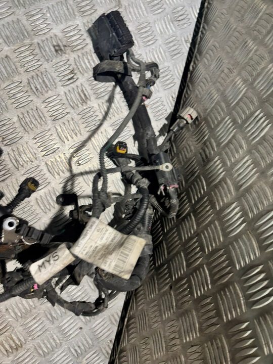Проводка двигателя Opel OE 00552186820, фото 4