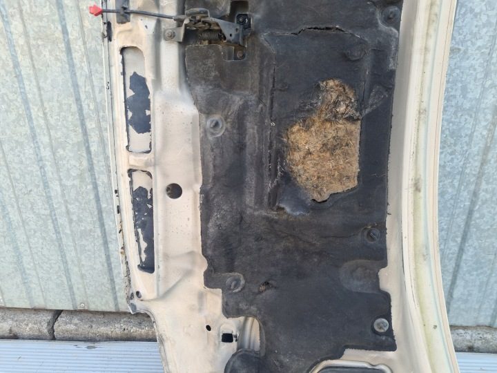 VW T4 КАПОТ ДВИГАТЕЛЯ, фото 10