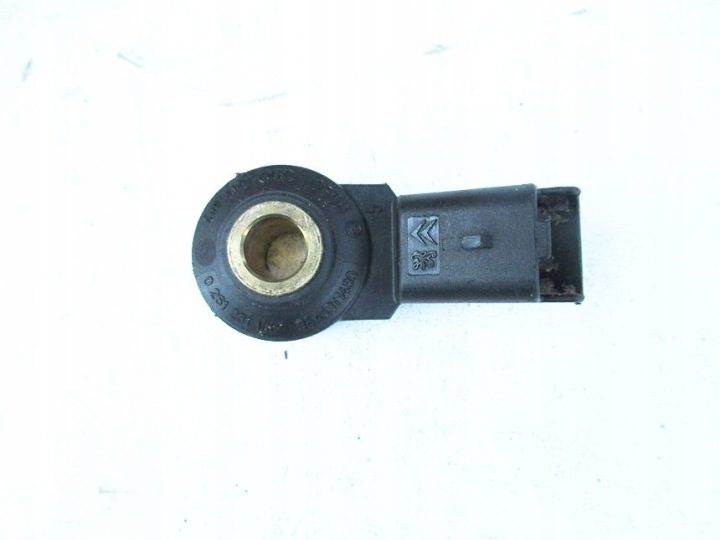 Датчик детонации Citroen C2 1.1 бензин 03-09r 0261231058, фото 1