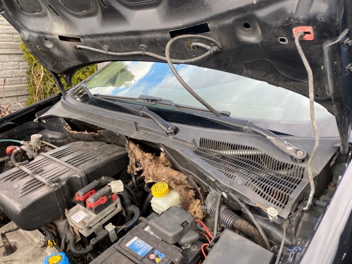 Fiat Grande Punto 05-12 ЖАБО, фото 2
