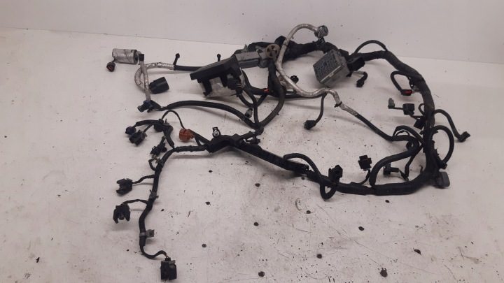 Проводка двигателя 95055503 Opel Captiva 2,2 VCDI, фото 1
