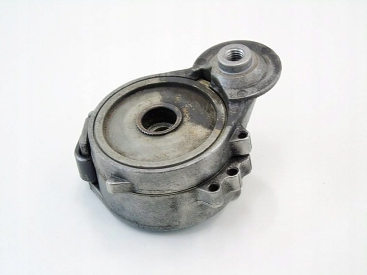 FORD 2.0 TDCI EUR.5 16183P - Натяжитель ремня, фото 4