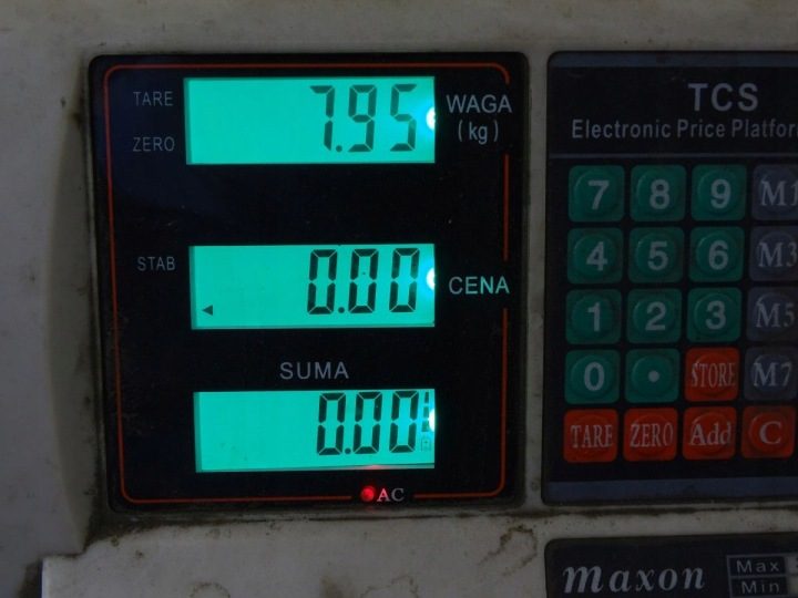 Renault Scenic I 99-03 1.9 DTI маховик, фото 3