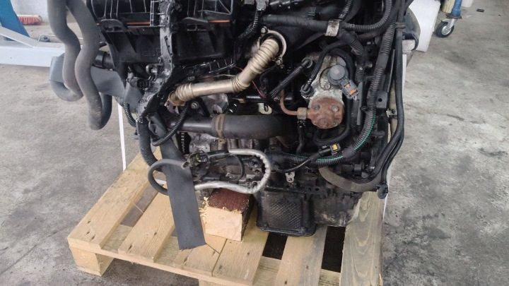 ДВИГАТЕЛЬ 1.6 BLUE HDI 88 кВт 120 л.с. DV6 BH01 CITROEN JUMPY III TOYOTA PROACE II, фото 6