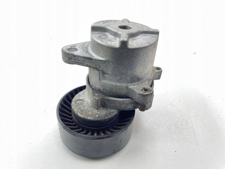 Opel OE 55 562 864 натяжитель приводного ремня поликлинового, фото 3