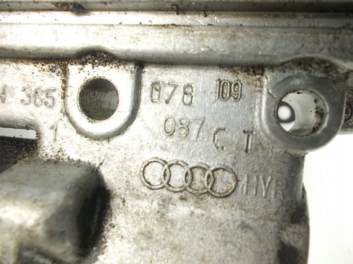 НАТЯЖИТЕЛЬ ЦЕПИ ГРМ AUDI A6 C5 97-03, фото 5