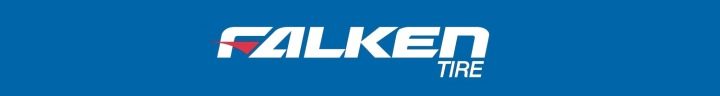 Шина зимняя Falken Eurowinter HS02 215/55R17 98 В сцепление на снегу (3PMSF), усилитель (XL), фото 5