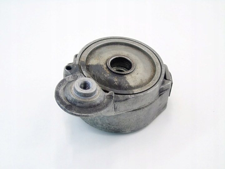 FORD 2.0 TDCI EUR.5 16183P - Натяжитель ремня, фото 1