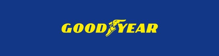 Шина летняя Goodyear EfficientGrip Performance 205/55R16 91 H, фото 5