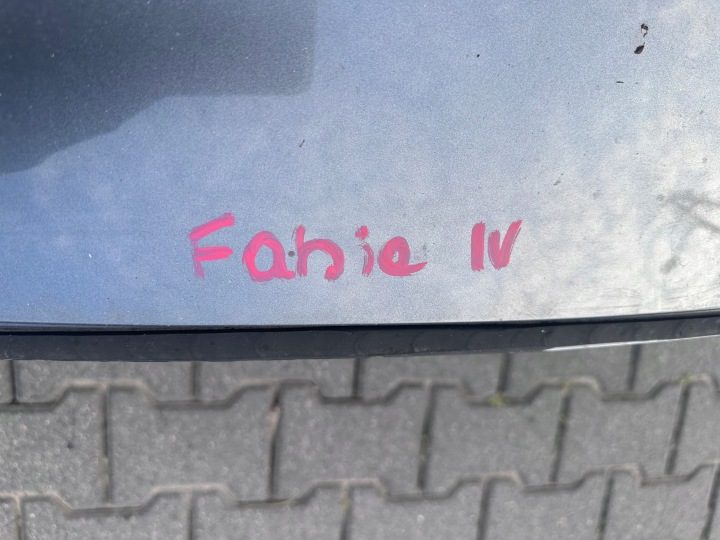 FABIA IV КРЫША, фото 5