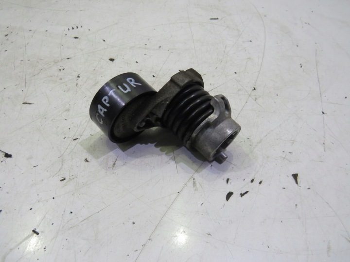Ролик натяжитель 0.9TCE Renault Clio IV 117506193R, фото 4