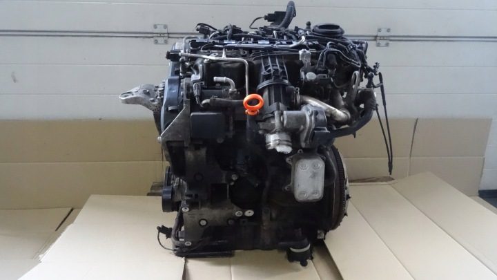 ROOMSTER РЕСТАЙЛИНГ 1.6 TDI ДВИГАТЕЛЬ CAYK CAYC 105 л.с., фото 2