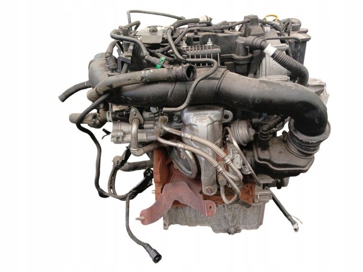 ДВИГАТЕЛЬ В СБОРЕ FORD FIESTA MK8 1.0 EcoBoost 125 л.с. 92 кВт B7JB 12 ТЫС ВИДЕО, фото 12