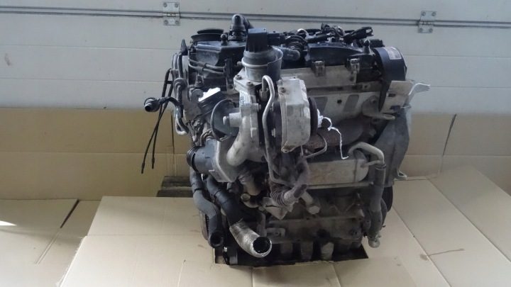 ROOMSTER РЕСТАЙЛИНГ 1.6 TDI ДВИГАТЕЛЬ CAYK CAYC 105 л.с., фото 12