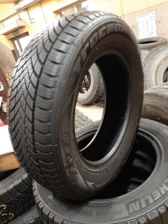 Шина всесезонная Tracmax X-Privilo A/S Trac Saver AS01 195/65R15 95 H усилитель (XL), фото 2