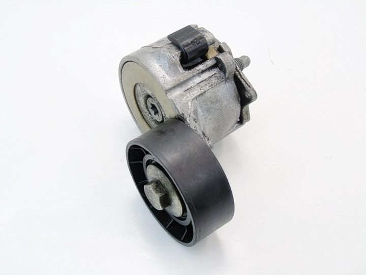 Натяжитель ремня 1.3 Mjtd Tipo 500X Doblo Qubo Punto 46819146, фото 2