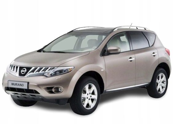Подрамник задний траверса Nissan Murano Z51 2.5 DCI 4X4 2008-2014, фото 1