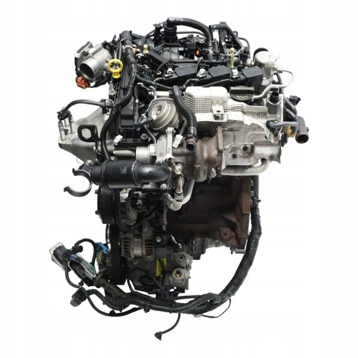 Ford Focus MK3 C-Max MK2 Двигатель без навесного Лонгблок M2DA 1.0 GTDI 100 л.с., фото 3