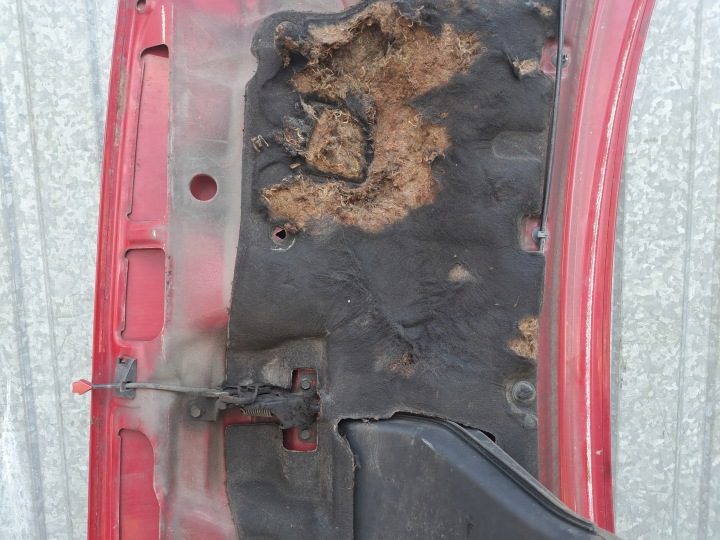 VW T4 капот двигателя красный, фото 8