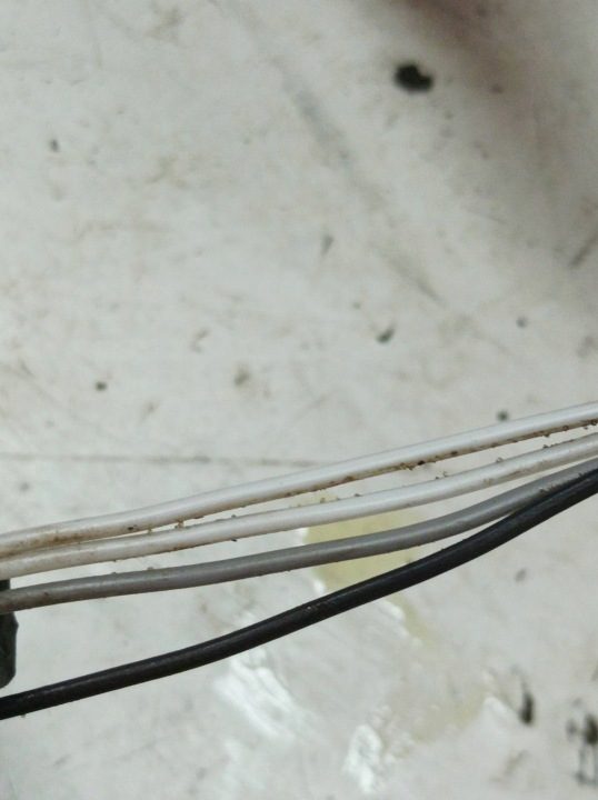 ВЫПУСКНОЙ КОЛЛЕКТОР 3.2 V6 Z32SE Opel Vectra III (2002-2008) C, фото 4