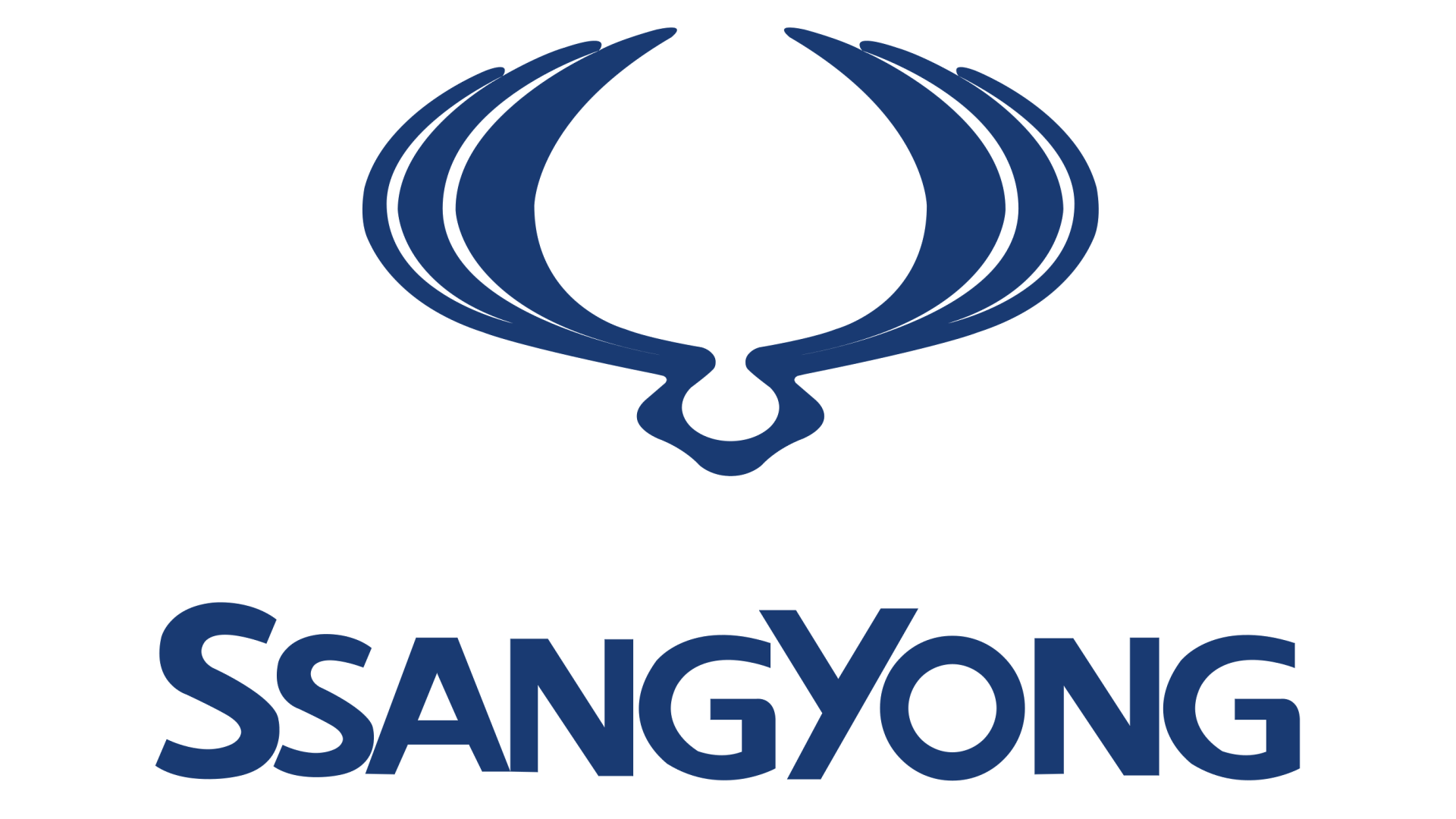 SSANG YONG